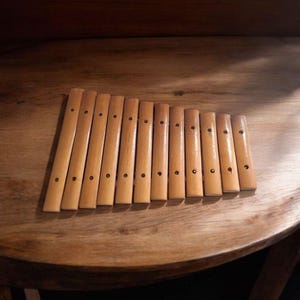 Cymbal Kindermusikinstrument, Gusli, hergestellt in der UdSSR, Original, Kinderzimbeln, Xelophon, Vintage, Musikinstrument, UdSSR
