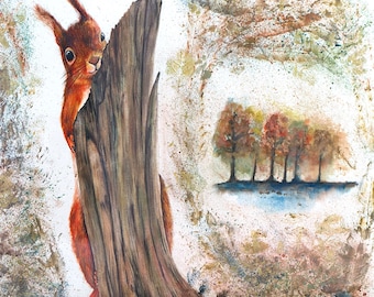 Acuarela original enmarcada de una ardilla roja, obra del artista británico. "Caza de nueces".