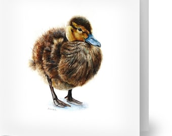 Patito peludo en acuarela de la artista británica Anna Kenny - Paquete de 10 tarjetas en blanco