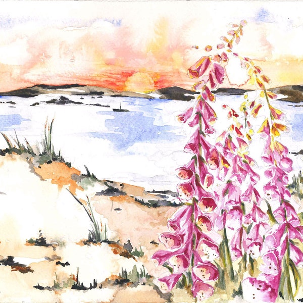 Foxgloves Isles of Scilly Greetings Card (en)