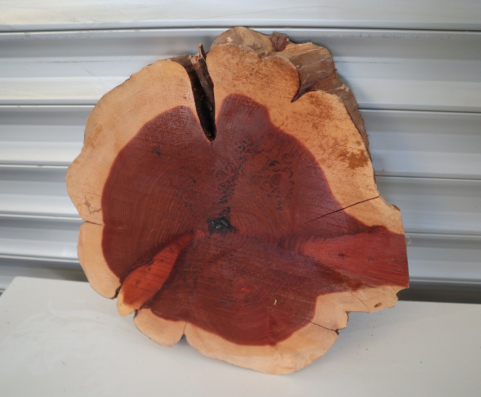 Live Edge Anatolian Juniper Wood Slab for Coffee Table OR Etsy