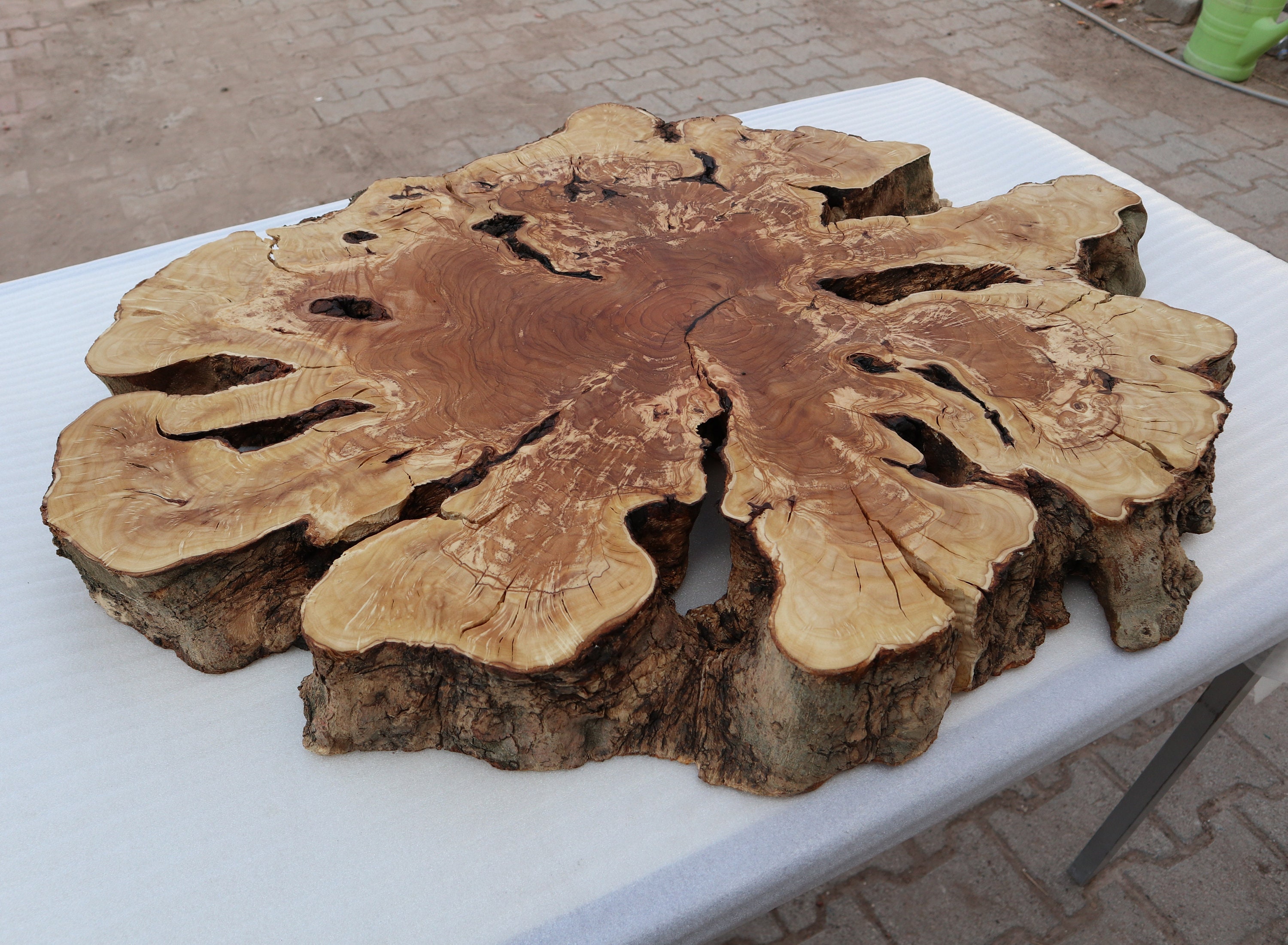 Live Edge Very Old Big Size OLIVE Wood Slab For Coffee Table Etsy