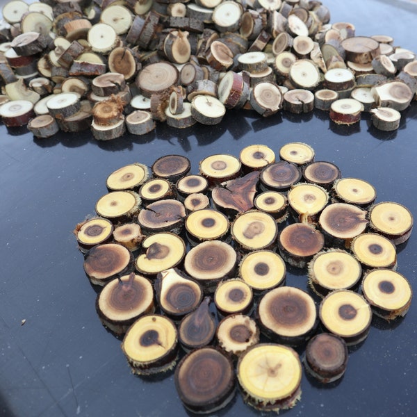 Live Edge Natural Russian Olive Tree Wood Slices, Tree Branch Discs, Ornament Material Supply, Dried Wood Slices, Thickness 0.9 - 1 cm