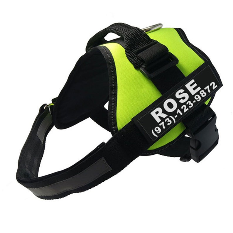 Dog Harness Personalised
 Personalized Dog Harness with Custom Size Patches Personalize