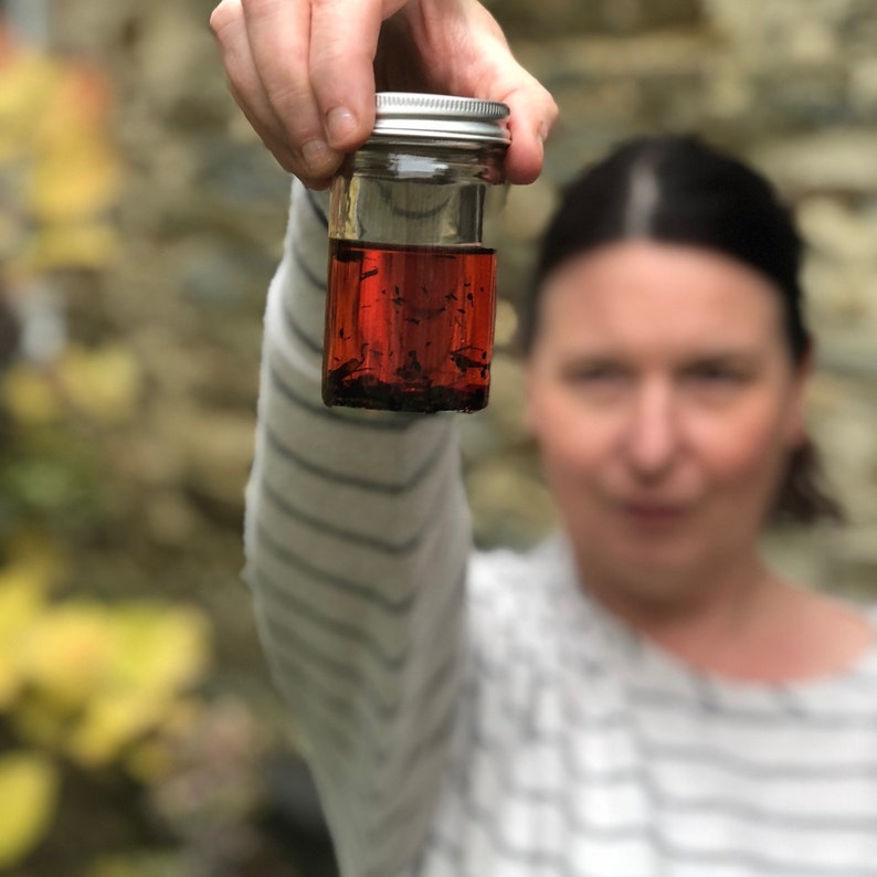 Lip Warrior lip balm and skin salve Etsy