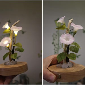 Lampada a forma di fiore in resina, lampada magica a forma di fiore dorato fatta a mano, fiore di Sundelions, lampada floreale in resina, regalo di compleanno, regalo per gli amanti delle fiabe Morning glory