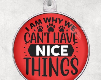 Funny Dog Tag, 'I am why we can't have nice things', Steel Pet ID Tag