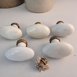 May include: Five white oval cabinet knobs with brass accents are arranged near a jewelled bee brooch. The knobs have a smooth, glossy finish. The bee brooch is gold-toned with black and clear crystal accents.