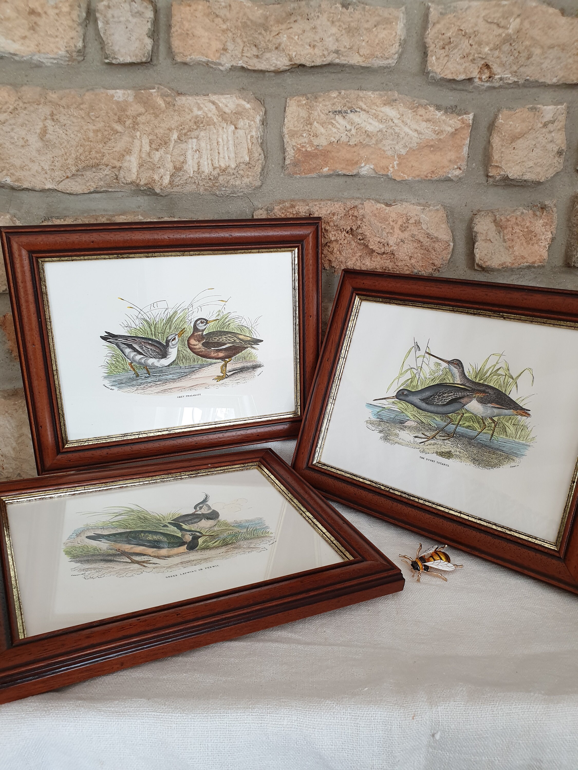 Water Bird Prints, Water Pictures, Français Vintage Prints