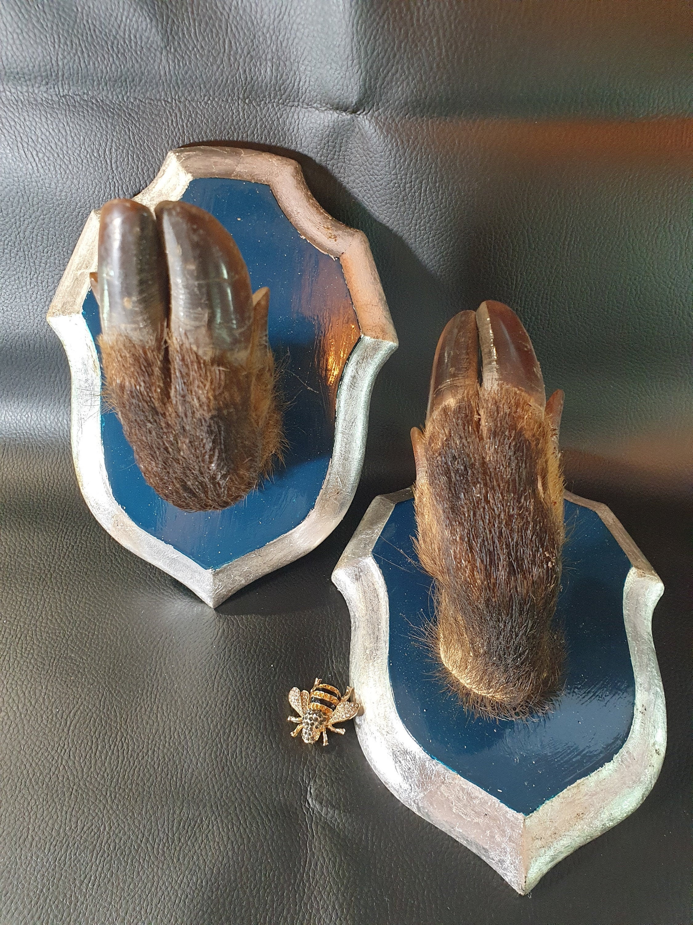 Crochets d'entrée, Crochets de Couloir, Vintage, à Manteau, Taxidermie, Upcycled, Sac Main, Décorati