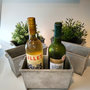 May include: Two bottles of wine, one with a clear glass bottle and a red label that says "Lillet" and the other with a green glass bottle and a white label that says "Terrasses d'Aujan", are sitting in two silver metal containers with green plants in the background.
