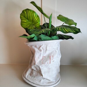 May include: A white canvas planter with the text "V.E.P." in pink lettering, filled with a green leafy plant with striped leaves.