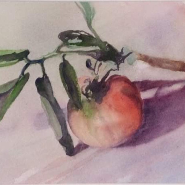 Peinture aquarelle tableau originale Therese  Tarsiguel « La Tomate »