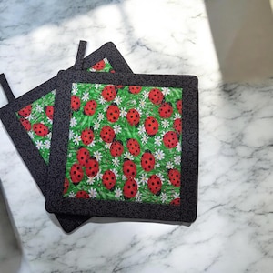 May include: Two square fabric pot holders featuring a vibrant green background with a repeating pattern of red ladybirds and small white daisies. Each pot holder is framed by a wide black border with a subtle, swirling tonal pattern.