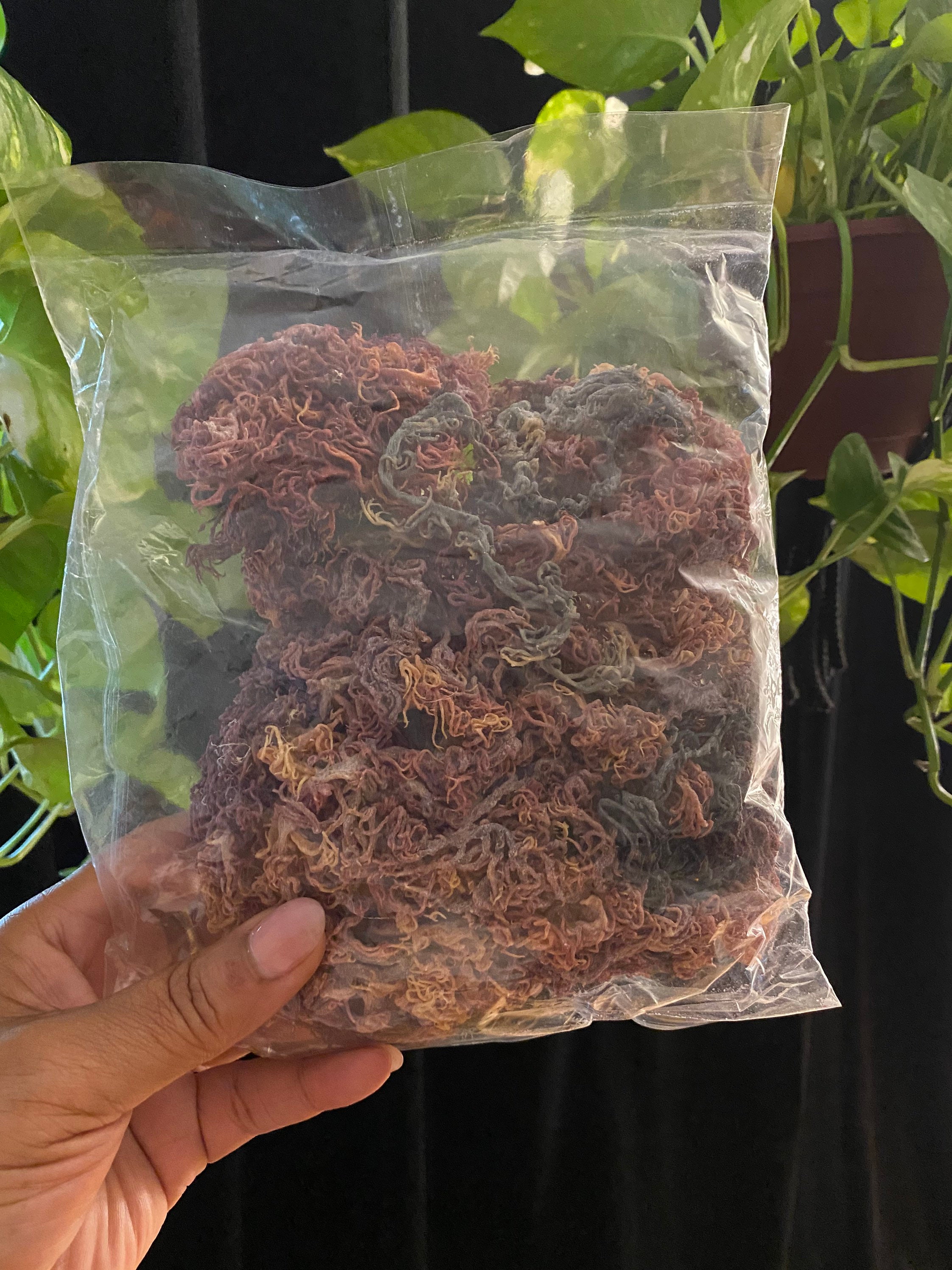 Sea Moss Gel Pineapple & Honey Etsy