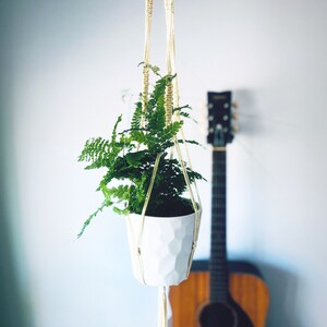 Light yellow plant hanger