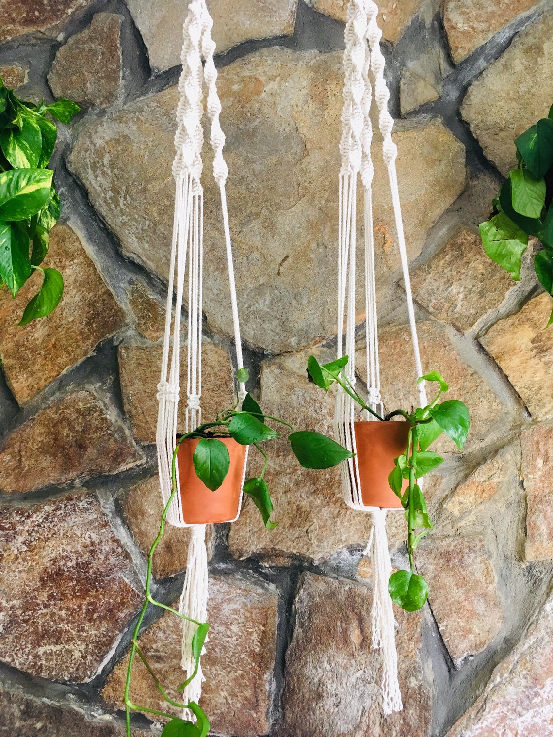Pair of White Plant Hangers Etsy