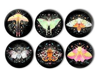 Moth Magnet Set - 6-piece 1" Round Glass Magnets Set - Fridge Decor - Decoration - Dark - Goth - Aesthetic - Witch Decor