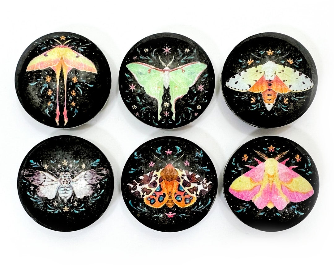Moth Set 6piece 1 Round Glass Set Etsy