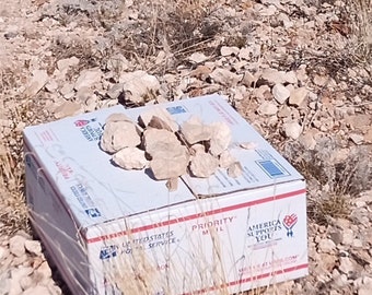 Desert Rocks - Chihuahuan Desert - USPS Large Flat Rate Box of Random Rocks from Chihuahuan Desert