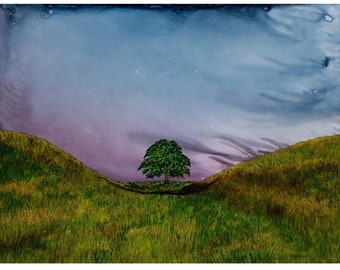Sycamore Gap Tree painting, Northumberland Landscape orignal Art ,UK Travel Decor, Tree/ NatureArt ,Hadrian's wall, North East England gift