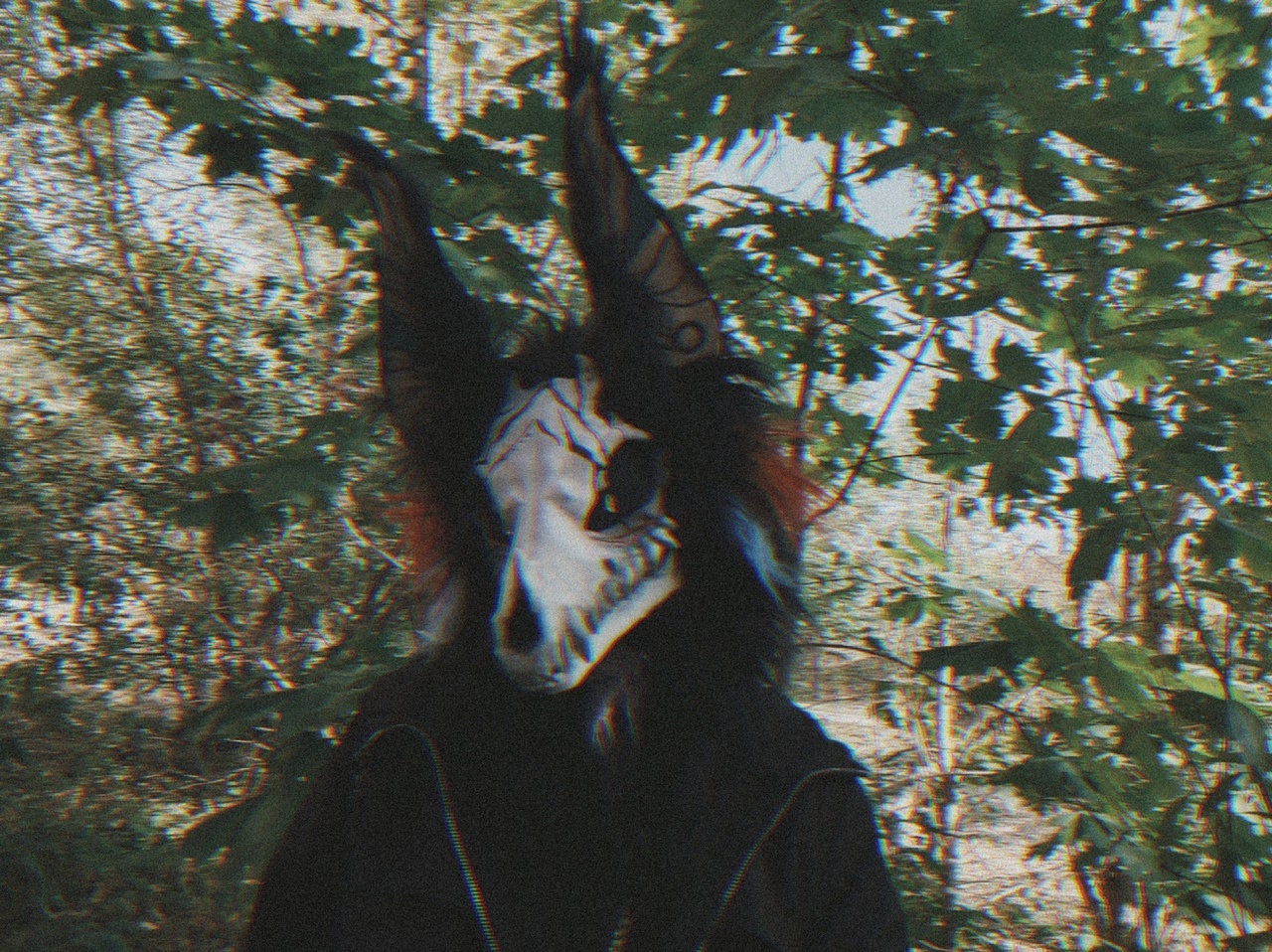 Skull dog/skulldog furry mask. Máscara peluda de calavera. Etsy