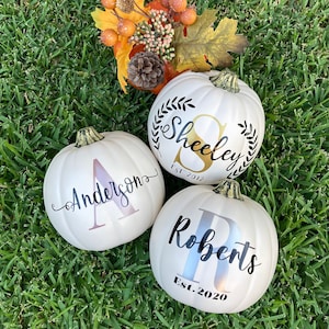 May include: Three white pumpkins with black calligraphy on them. The pumpkins are decorated with the last names "Anderson", "Sheeley", and "Roberts" and the year they were established. The pumpkins are sitting on a bed of green grass.