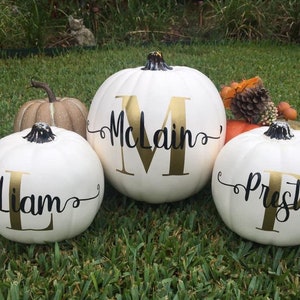 Personalized Pumpkin with Monogram Family Last Name for Fall Decor, Thanksgiving Decor, Wedding Gift, Engagement Gift, Housewarming Gift image 8