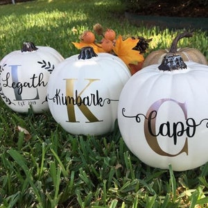 Personalized Pumpkin with Monogram Family Last Name for Fall Decor, Thanksgiving Decor, Wedding Gift, Engagement Gift, Housewarming Gift image 7