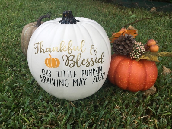 Baby Pregnancy Announcement Pumpkin Fall Thanksgiving Photo