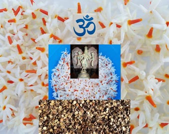 18 Parijata Seeds Harshiangar Nyctanthes Arbor Tristis Lord Krishna Jasmine Flower Kalpataru AyurVeda Herb USA Veteran Vaishnava Seller