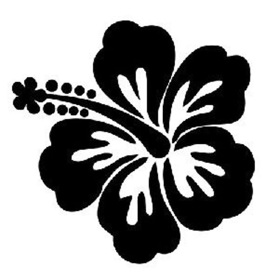 Hibiscus Flower Digital File SVG PNG JPG Cricut & - Etsy