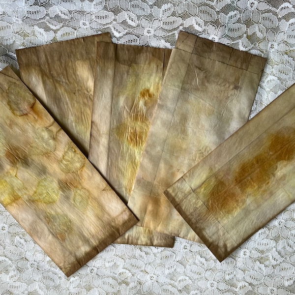 Set of 5 eco printed paper bags, Eco dyed gift bags