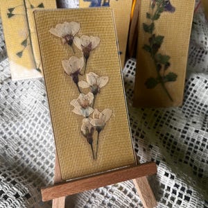 Set of pressed flowers cards, Bookmarks, Craft supplies, Scrapbooking