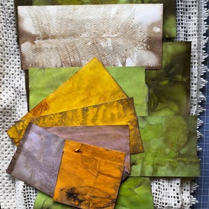Set di 10 carte eco-stampate, fascio di carta ecologica tinta, botanica