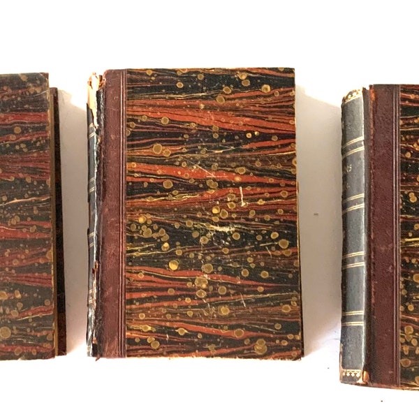 Goethe's Werke 1828 Leather Bound Marbled 3 Volumes Rustic Decor