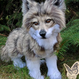 May include: A lifelike plush wolf with brown and gray fur, white accents, and amber eyes. The wolf is standing on green grass near a backdrop of evergreen branches. A wooden butterfly tag is on the grass.