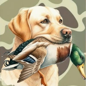 May include: A golden Labrador Retriever with a mallard duck in its mouth. The duck has brown, white, blue, and green feathers. The background features a camouflage pattern in shades of green and brown.