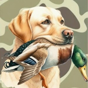 Pode incluir: Um Labrador Retriever dourado segurando um pato selvagem na boca. O pato tem penas marrons, brancas, azuis e verdes. O fundo &eacute; um padr&atilde;o de camuflagem em tons de verde e marrom.