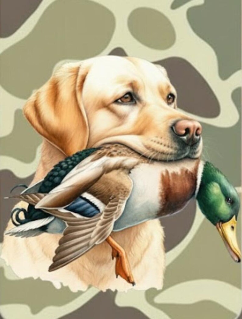 Pode incluir: Um Labrador Retriever dourado segurando um pato selvagem na boca. O pato tem penas marrons, brancas, azuis e verdes. O fundo &eacute; um padr&atilde;o de camuflagem em tons de verde e marrom.
