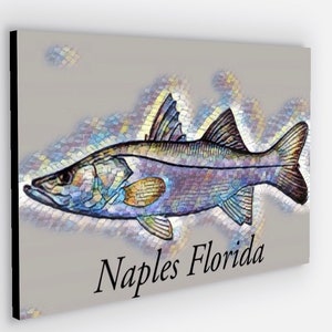 Snook Fish art canvas Naples Florida fishing Canvas prints 16”x26”sport fish canvas art, Triple Tail fine art. Snook Fish Mounts