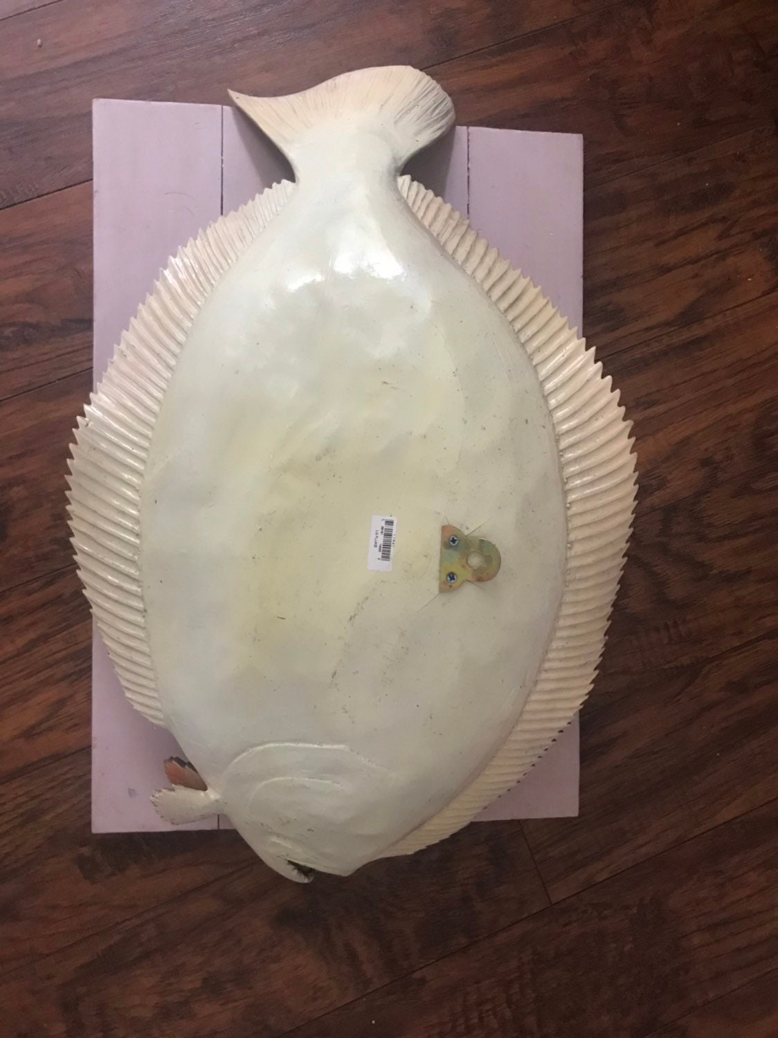 This is great looking Full body flounder fish mount Etsy