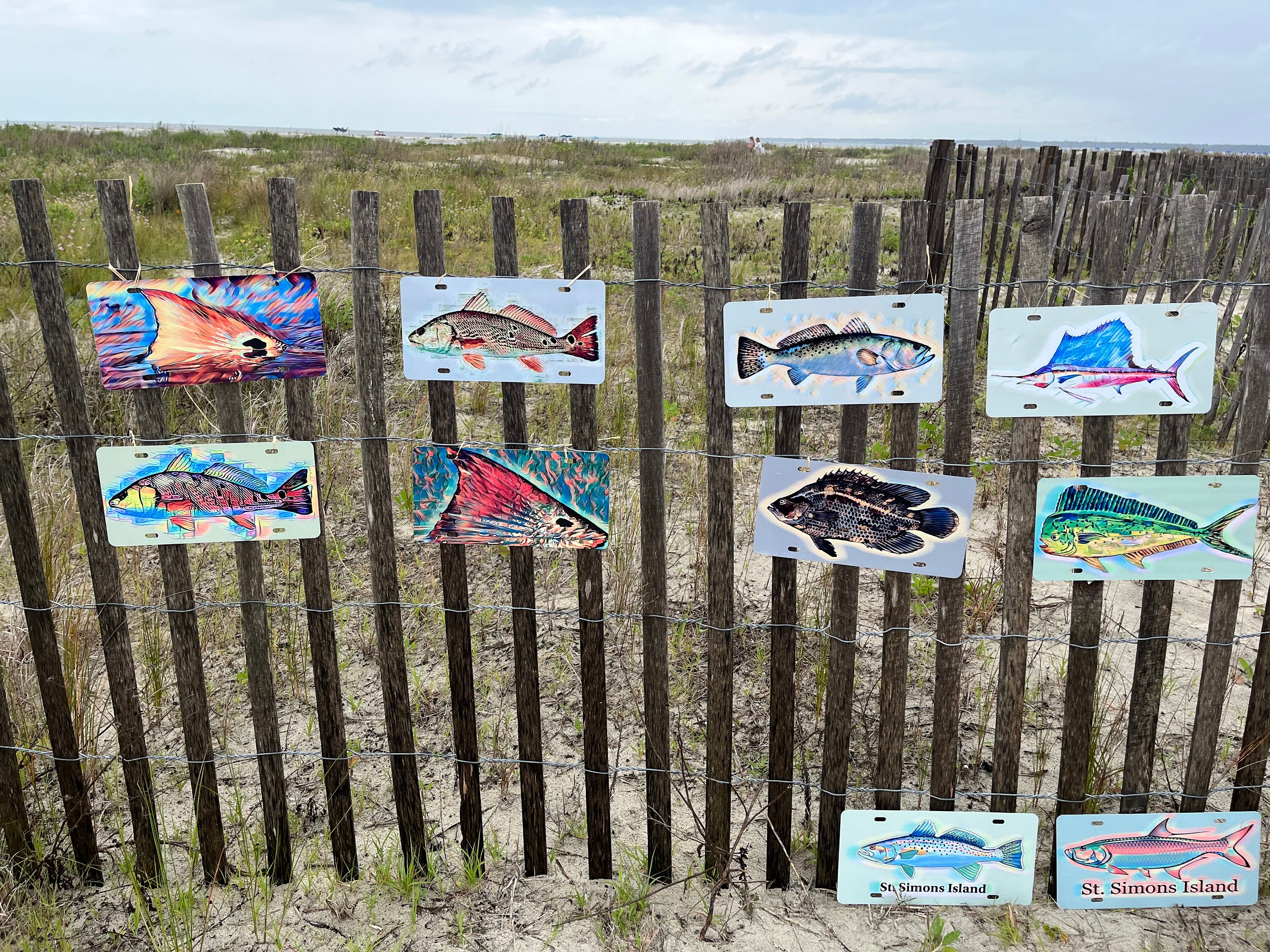 thumbnail image 2 of Brook Trout Fly Fishing Car Front License Plate 6 X 12 Inch 2 of 14