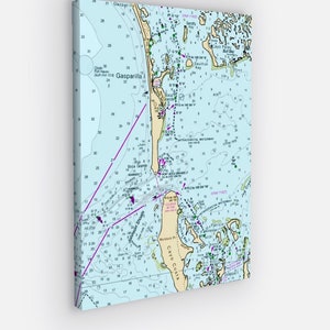 May include: A nautical chart of the Cayo Costa and Gasparilla Island area in Florida. The chart shows the coastline, waterways, and depths. The chart is printed on a white background with blue lines and text.