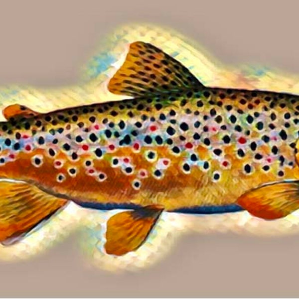 Brown trout License Plate, Fisherman Decorative License Plate, Trout  Fishing Car Tag, Brown Trout Art , Brown  Trout Art Gift