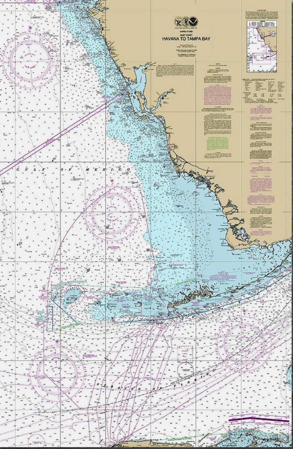 Southwest Florida Naples Marco - Il 1140xN.4945867119 Ffaz