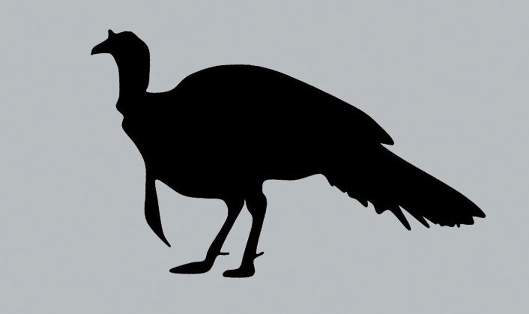 Wild Turkey License Plate Turkey Decorative License Plate Etsy