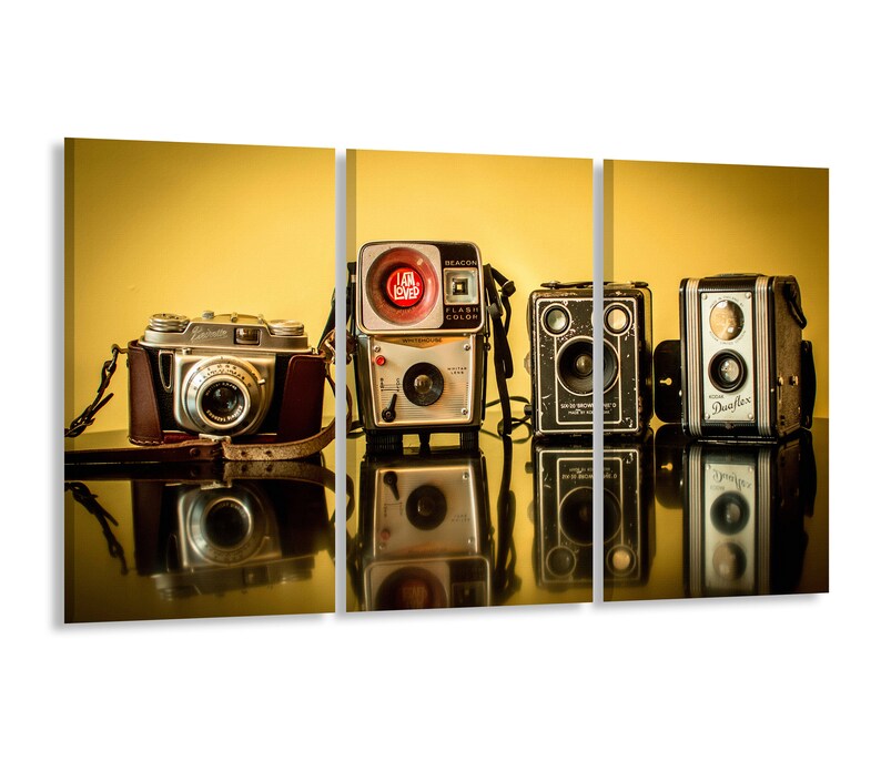 Vintage Camera Art Print Contemporary Art Etsy