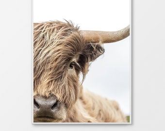 Printable Highland Cow Print - Southwestern, Farmhouse Decor, Digital Download, Scandinavian Decor
