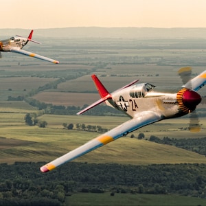 Redtails - Tuskegee Airmen